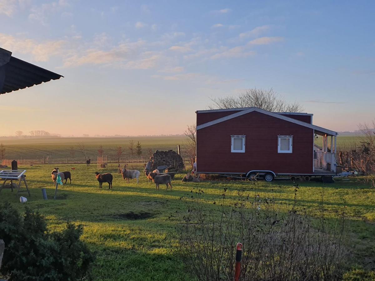 Tiny House Villa Schonbeck  Exterior photo